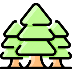 a group of trees with black background
